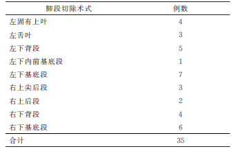 VATS 解剖性肺段切除术式_文章发表