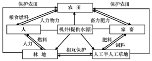 “ 小生物圈” 模式_期刊发表