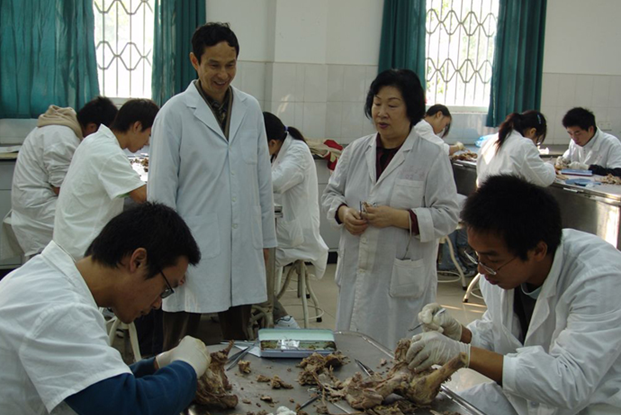 基础医学_文章发表