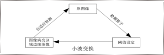 医学图像病变区域检测过程_论文发表