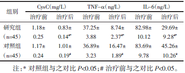 表2 两组治疗前后血清CysC、IL-6、TNF-α 水平对比（xˉ±s）_论文发表