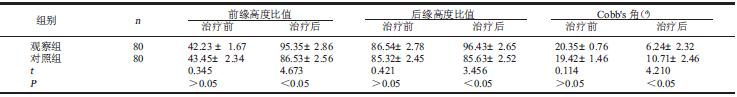 表2 两组椎体前后缘高度比值、Cobb