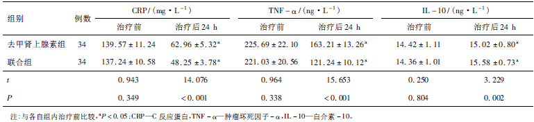 表2 两组患者治疗前后血清炎症因子水平比较(xˉ±s)_论文发表