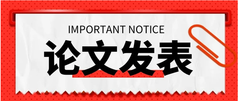 期刊论文发表的报价