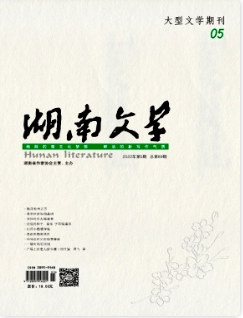 湖南省省级发表论文刊物有哪些