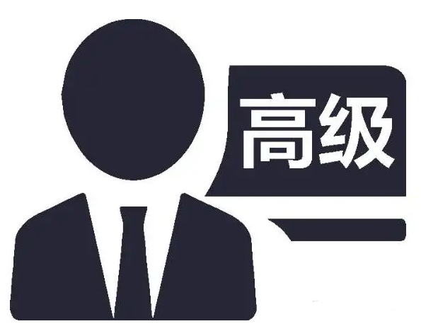 晋升中高级审计师职称发表论文