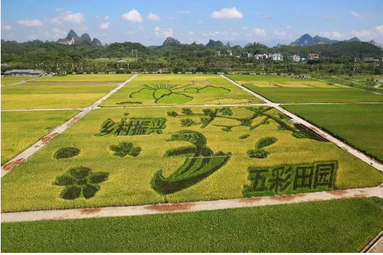 休闲农业与乡村旅游融合发展相关论文发表概念界定