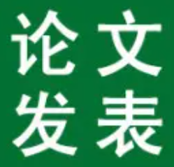论文正式发表是指什么