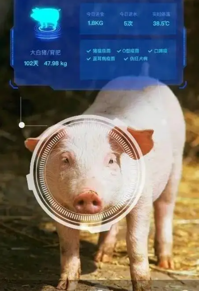 智慧养殖发表论文模式