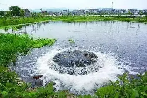 水生态环境保护期刊发表现状