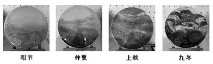 劳动教育手工作品的论文发表设计