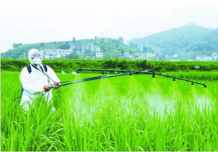 农作物病虫害绿色防控的基本论文发表原则