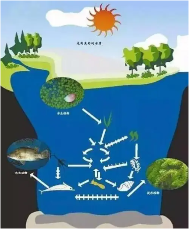 当前流域水环境治理出现的论文发表问题