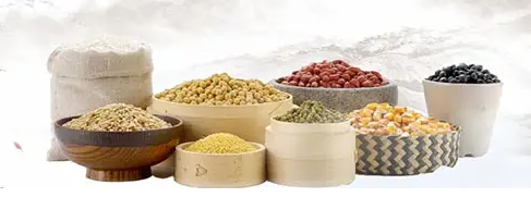 应用于食品工业的生物工程期刊发表技术