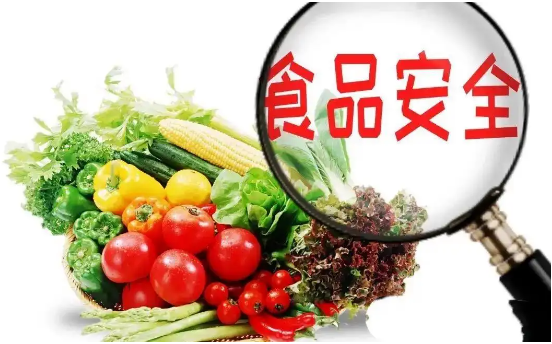 食品安全的存在论文发表问题