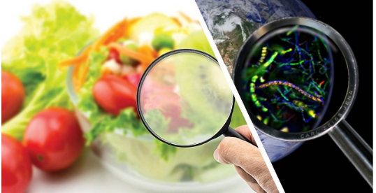 快速测试片对于食品微生物检测的发表论文意义