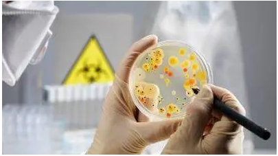 快速测试片对于食品微生物检测的发表论文意义