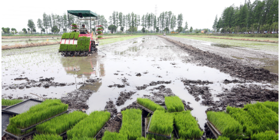 水稻全程机械化栽培新技术的发表论文优点