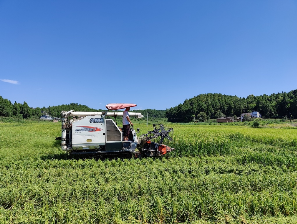 水稻全程机械化栽培新技术的应用发表论文方法