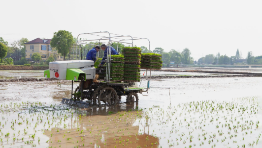 水稻全程机械化栽培技术应用水平提升的有效期刊发表对策
