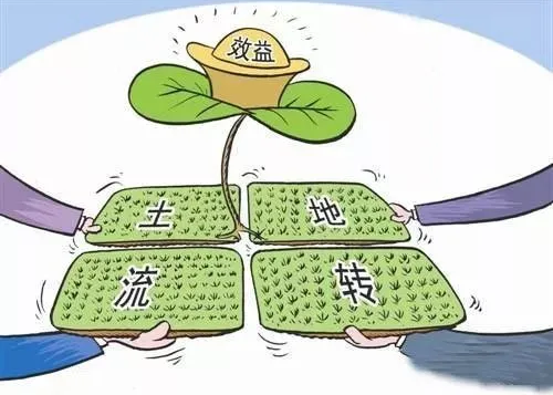 土地资源管理对土地利用转型发展的期刊发表影响