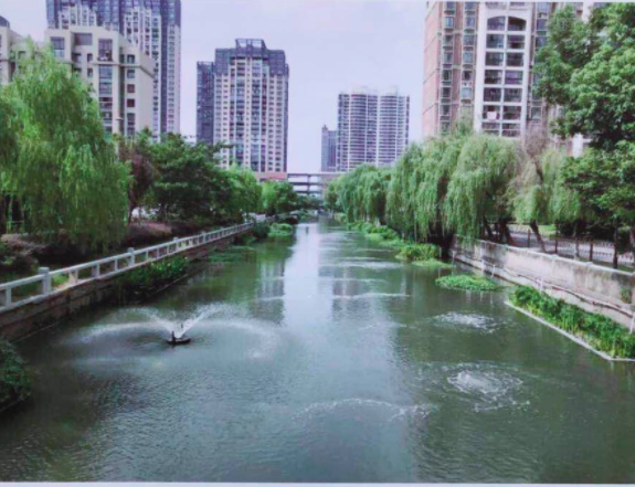 城市黑臭河道的综合整治措施发表论文运用
