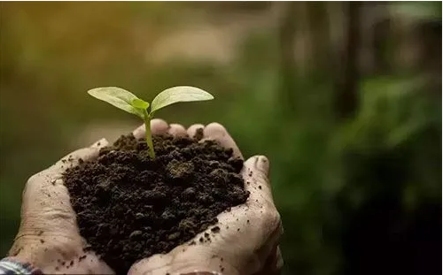 化肥减量增效的期刊发表重要性