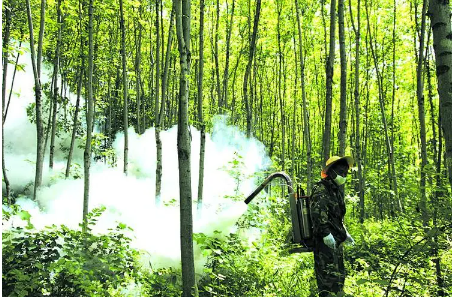 林业病虫害防治的优化期刊发表策略